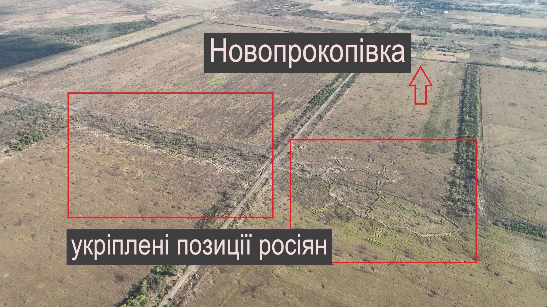 Изображение из галереи